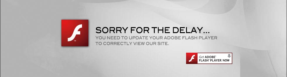 Get Adobe Flash player